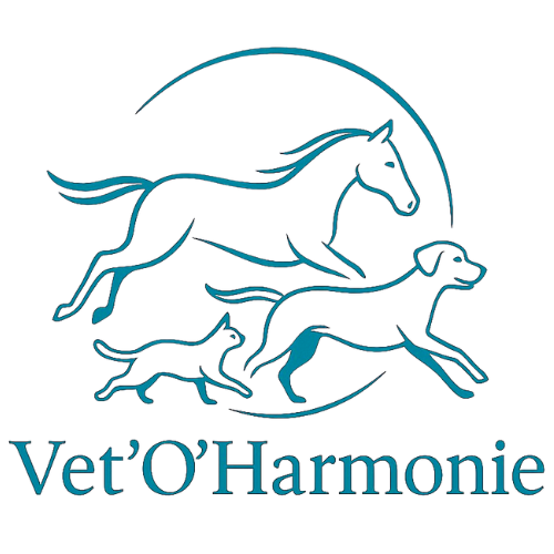 logo b vetoharmonie