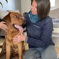 Les thérapies manuelles